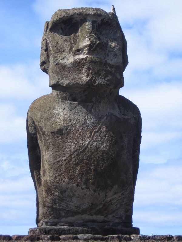 maoi bird tongariki